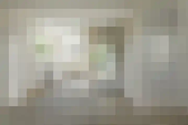 Valeriaan 42 Heerenveen thumbnail 8