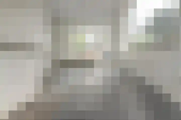 Valeriaan 42 Heerenveen thumbnail 9
