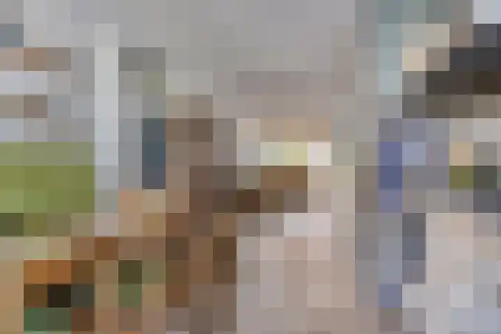 Valeriaan 43 Puttershoek thumbnail 11