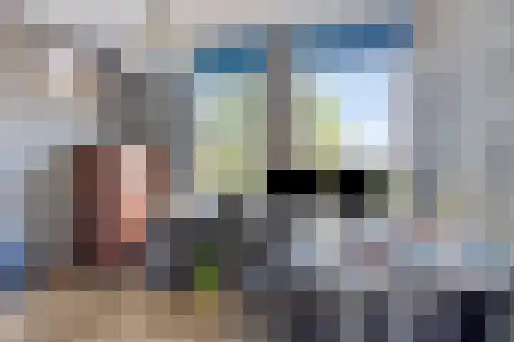 Valeriaan 43 Puttershoek thumbnail 15