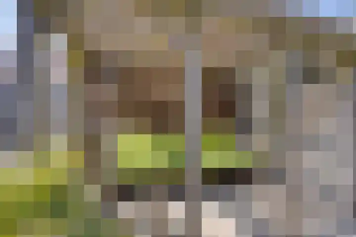 Valeriaan 43 Puttershoek thumbnail 23