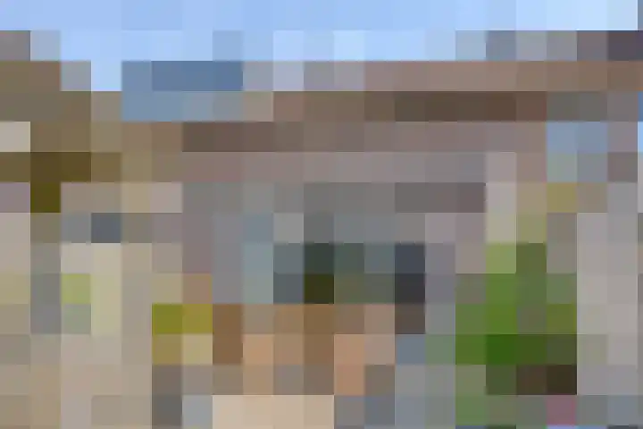 Valeriaan 43 Puttershoek thumbnail 24