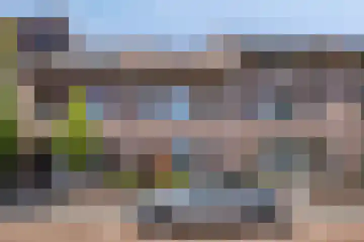 Valeriaan 43 Puttershoek thumbnail 28