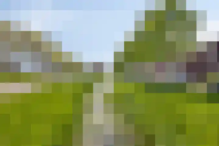 Valeriaan 43 Puttershoek thumbnail 31