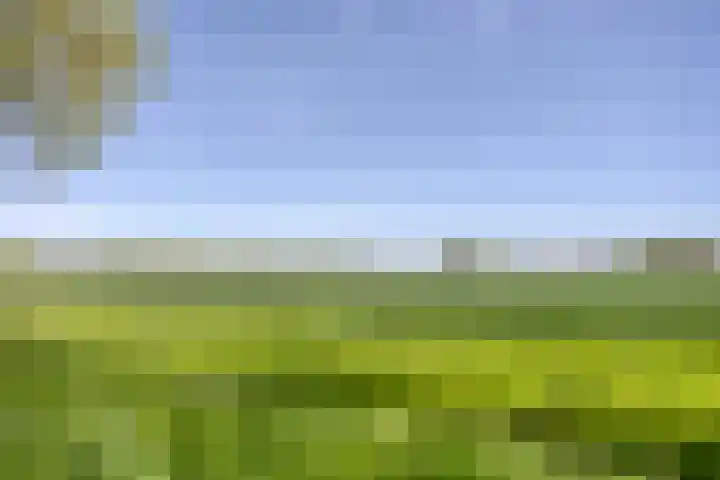 Valeriaan 43 Puttershoek thumbnail 32