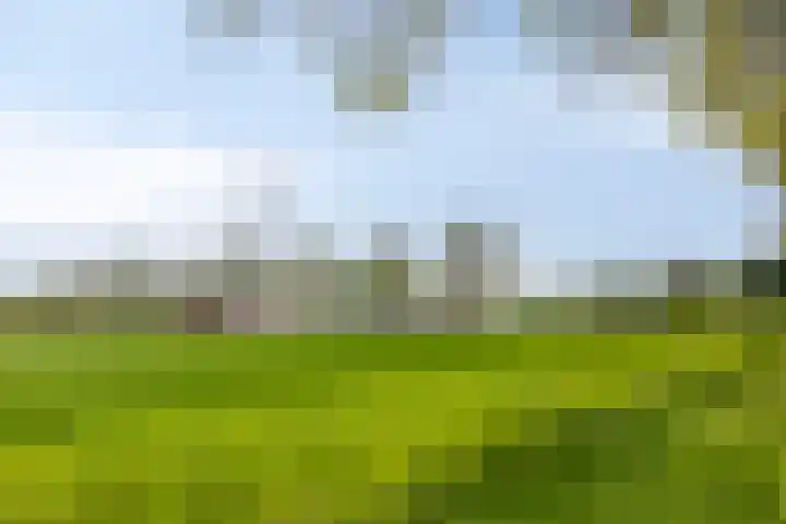 Valeriaan 43 Puttershoek thumbnail 33
