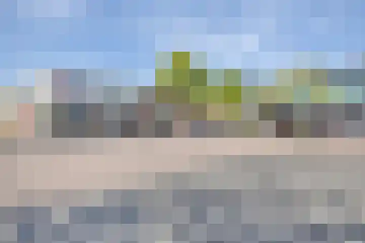Valeriaan 43 Puttershoek thumbnail 34