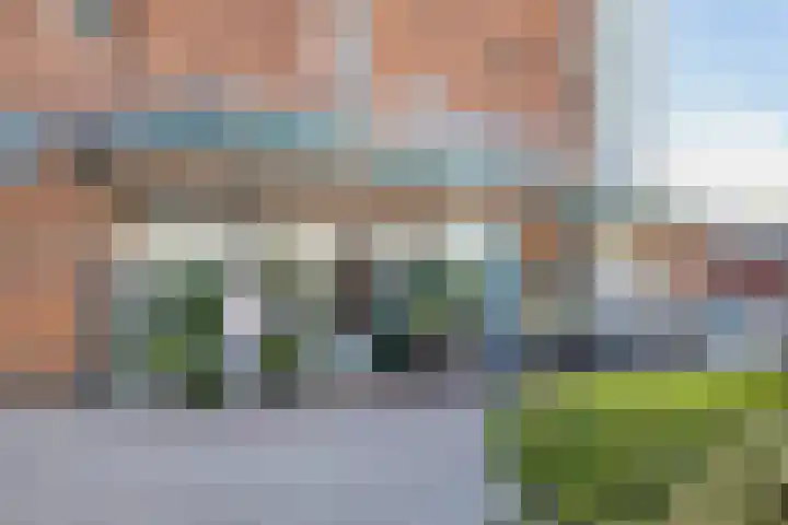 Valeriaan 43 Puttershoek thumbnail 35