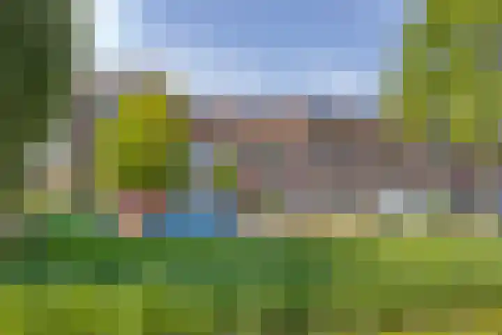 Valeriaan 43 Puttershoek thumbnail 41