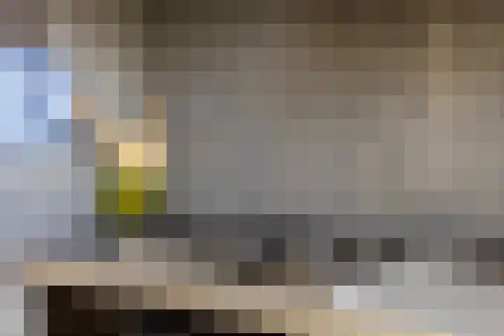 Valeriaan 43 Puttershoek thumbnail 9