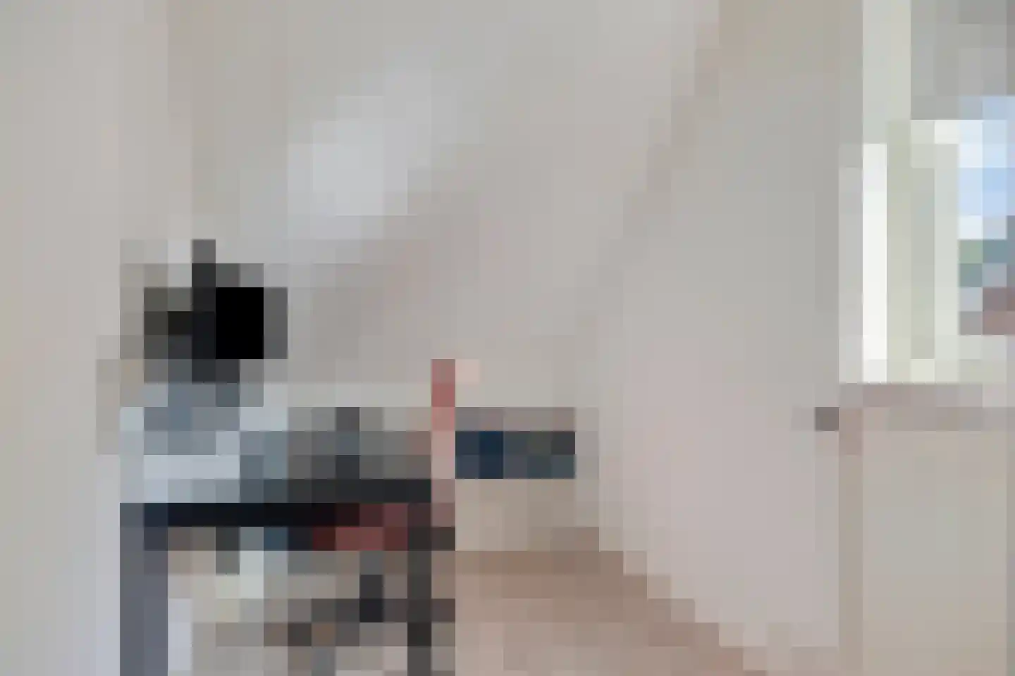 Valeriaan 45 Nijverdal thumbnail 22