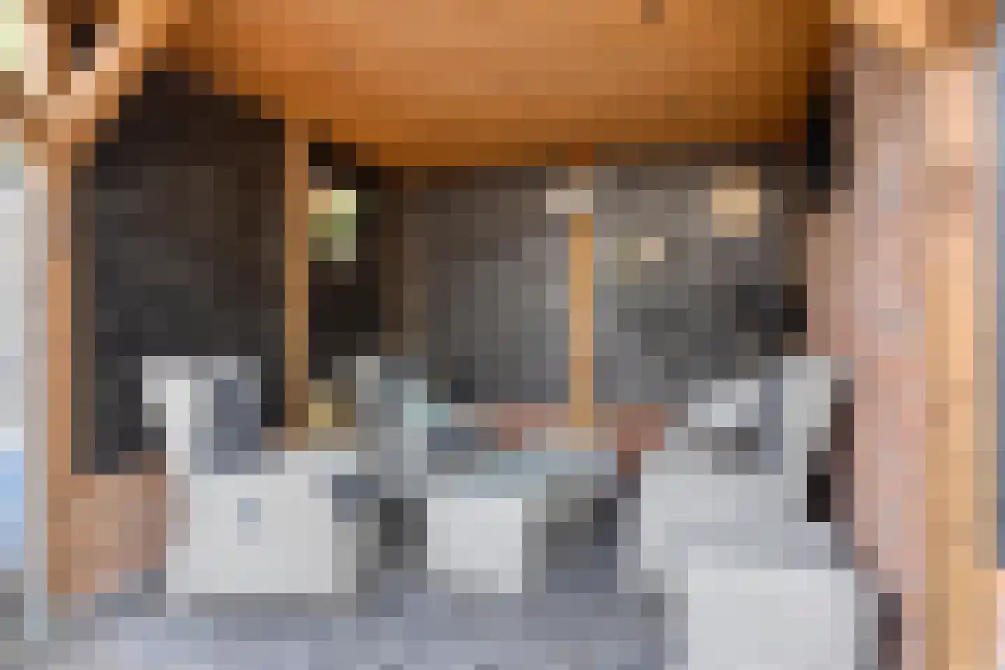 Valeriaan 45 Nijverdal thumbnail 26
