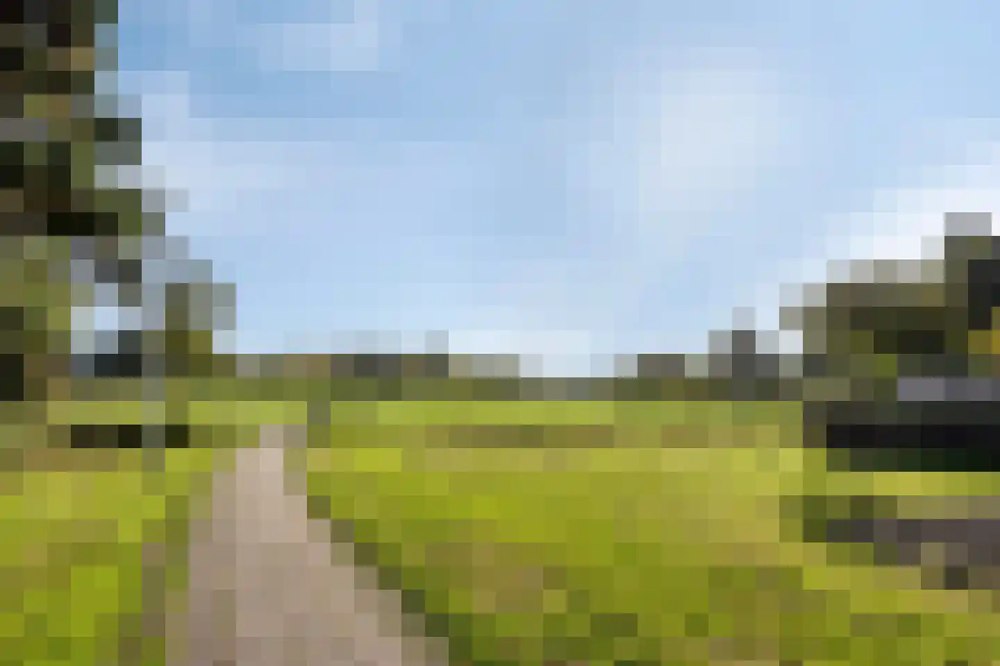 Valeriaan 45 Nijverdal thumbnail 31