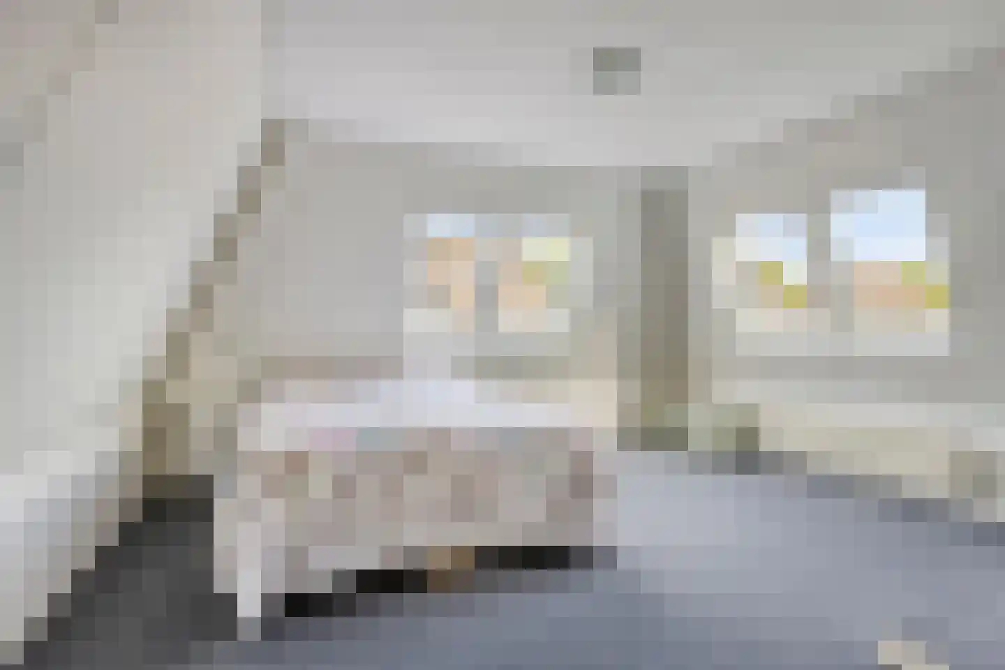 Valeriaan 5 Wolvega thumbnail 12