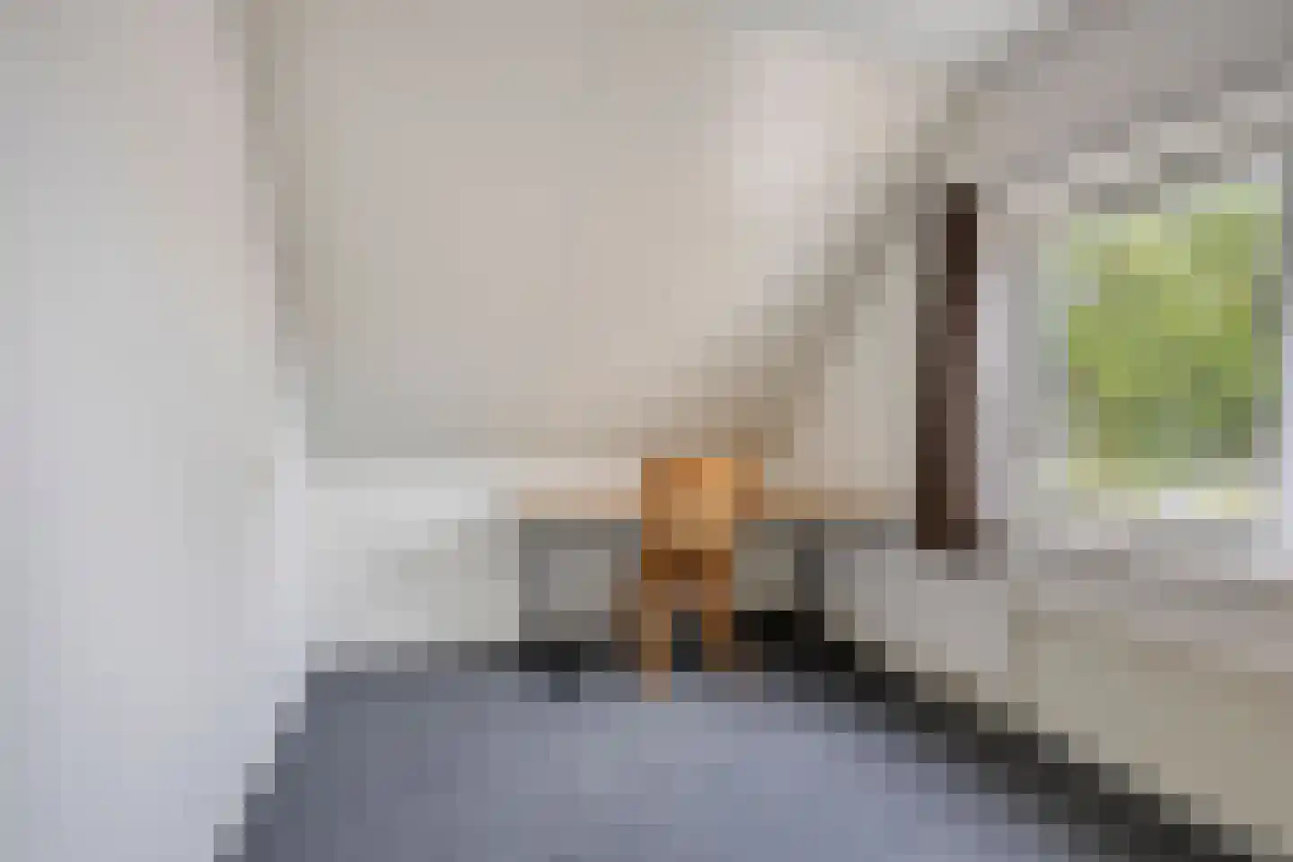 Valeriaan 5 Wolvega thumbnail 16