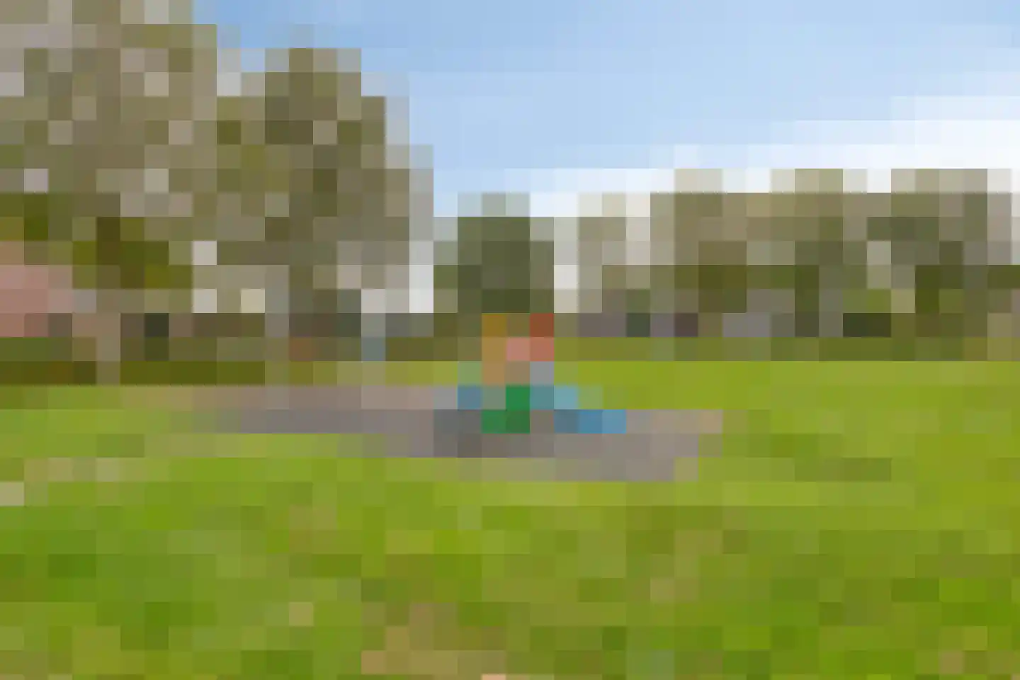 Valeriaan 5 Wolvega thumbnail 28