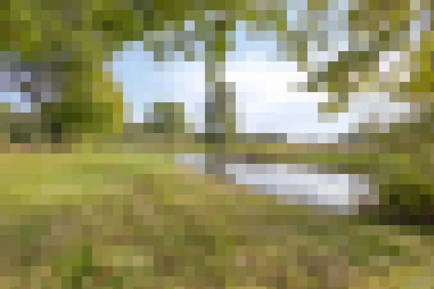 Valeriaan 5 Wolvega thumbnail 29