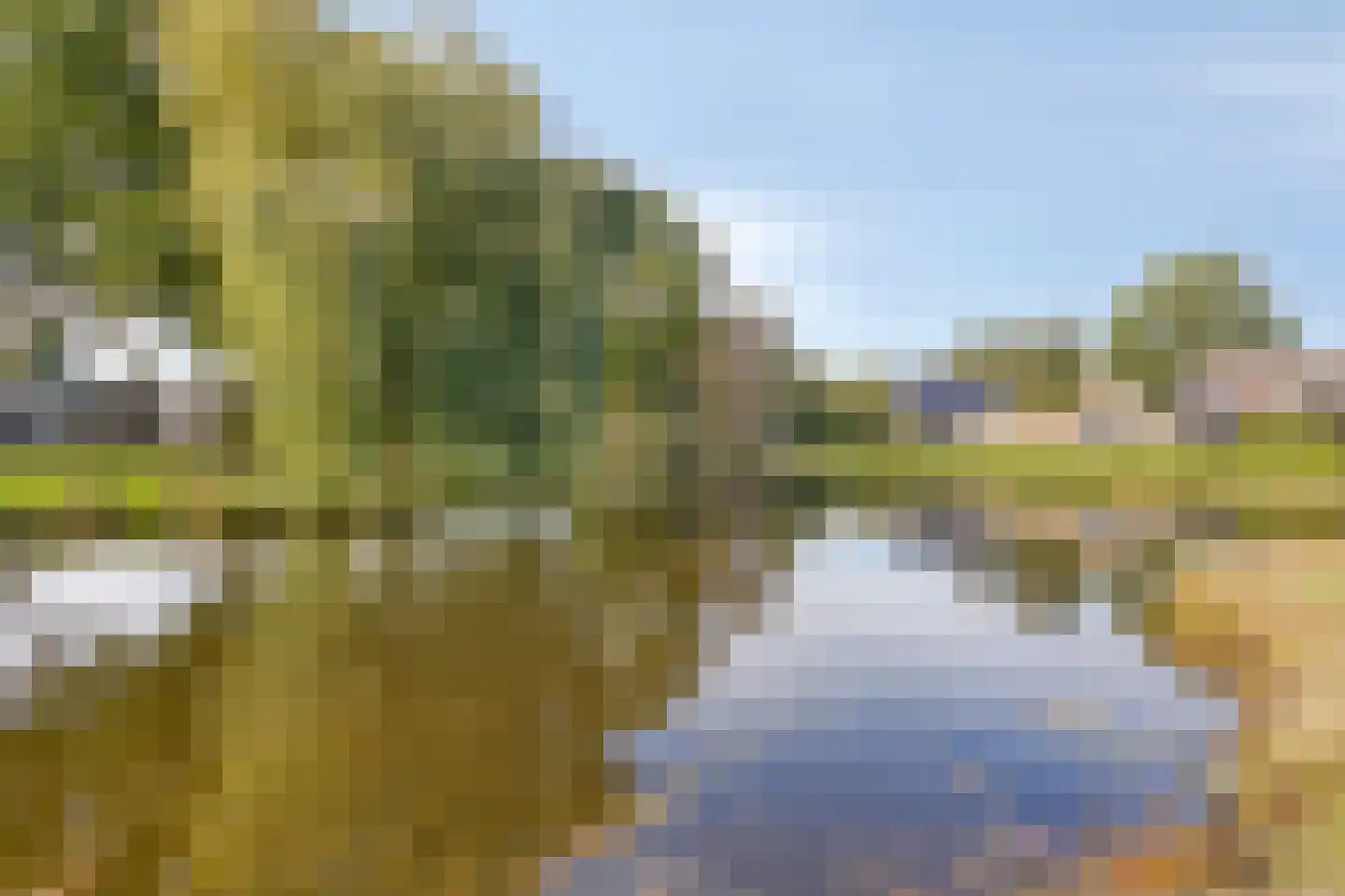 Valeriaan 5 Wolvega thumbnail 30