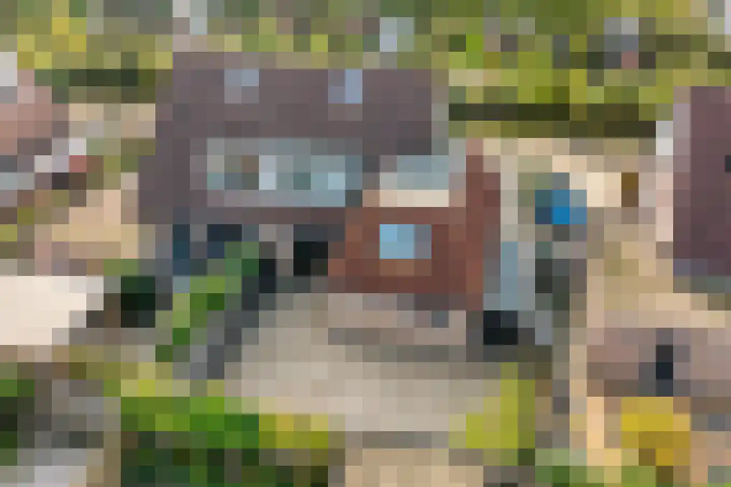 Valeriaan 5 Wolvega thumbnail 32