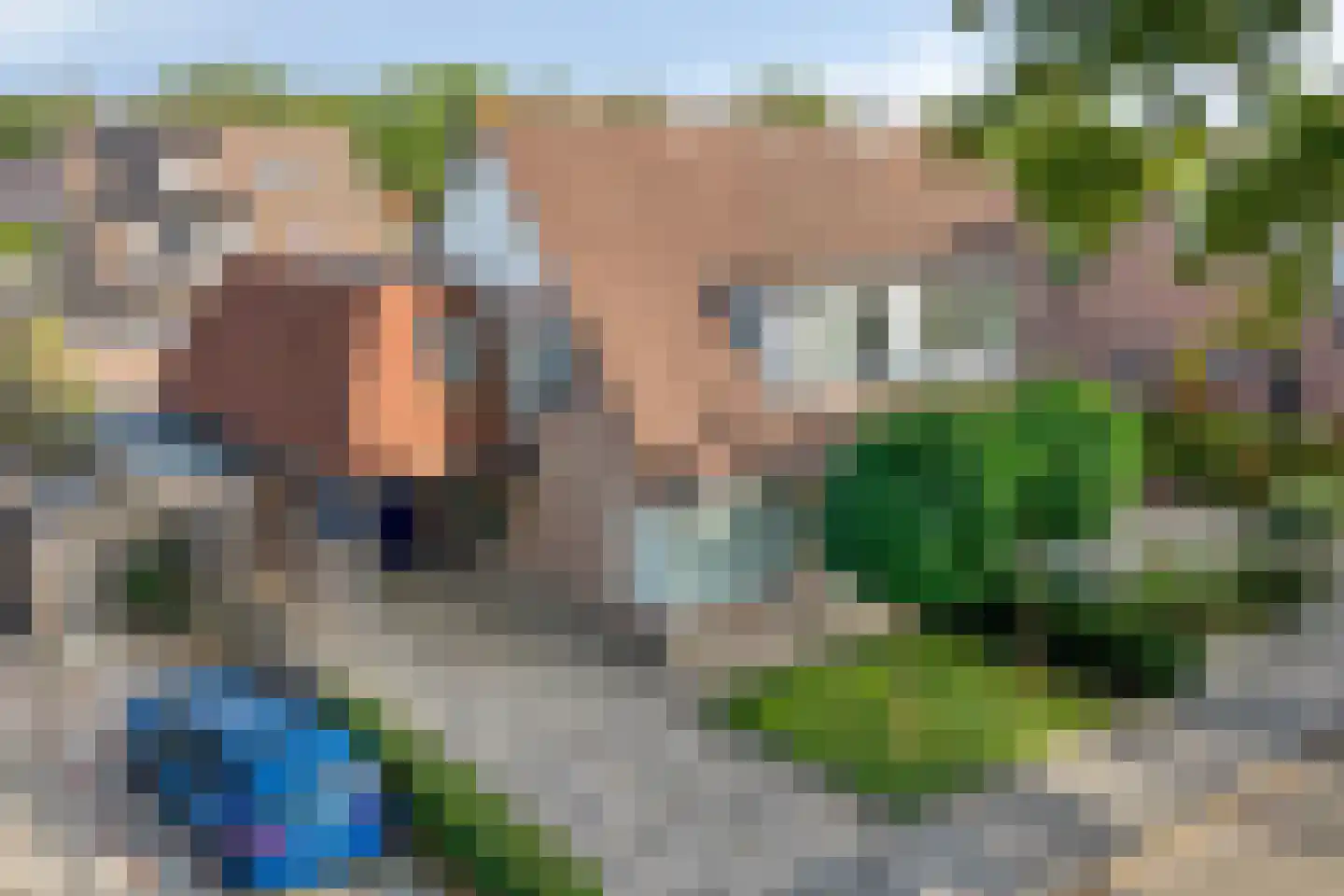 Valeriaan 5 Wolvega thumbnail 33