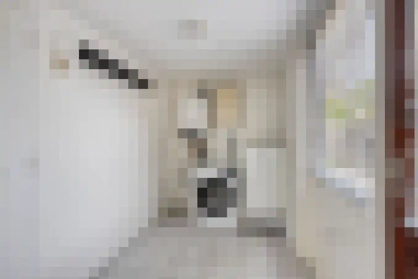 Valeriaan 5 Wolvega thumbnail 9
