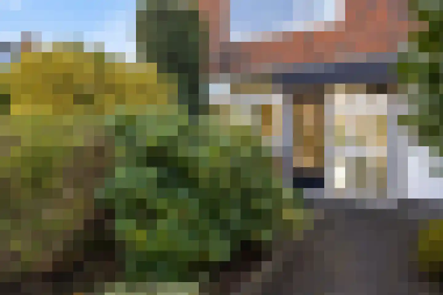 Valeriaan 56 Heerenveen thumbnail 4