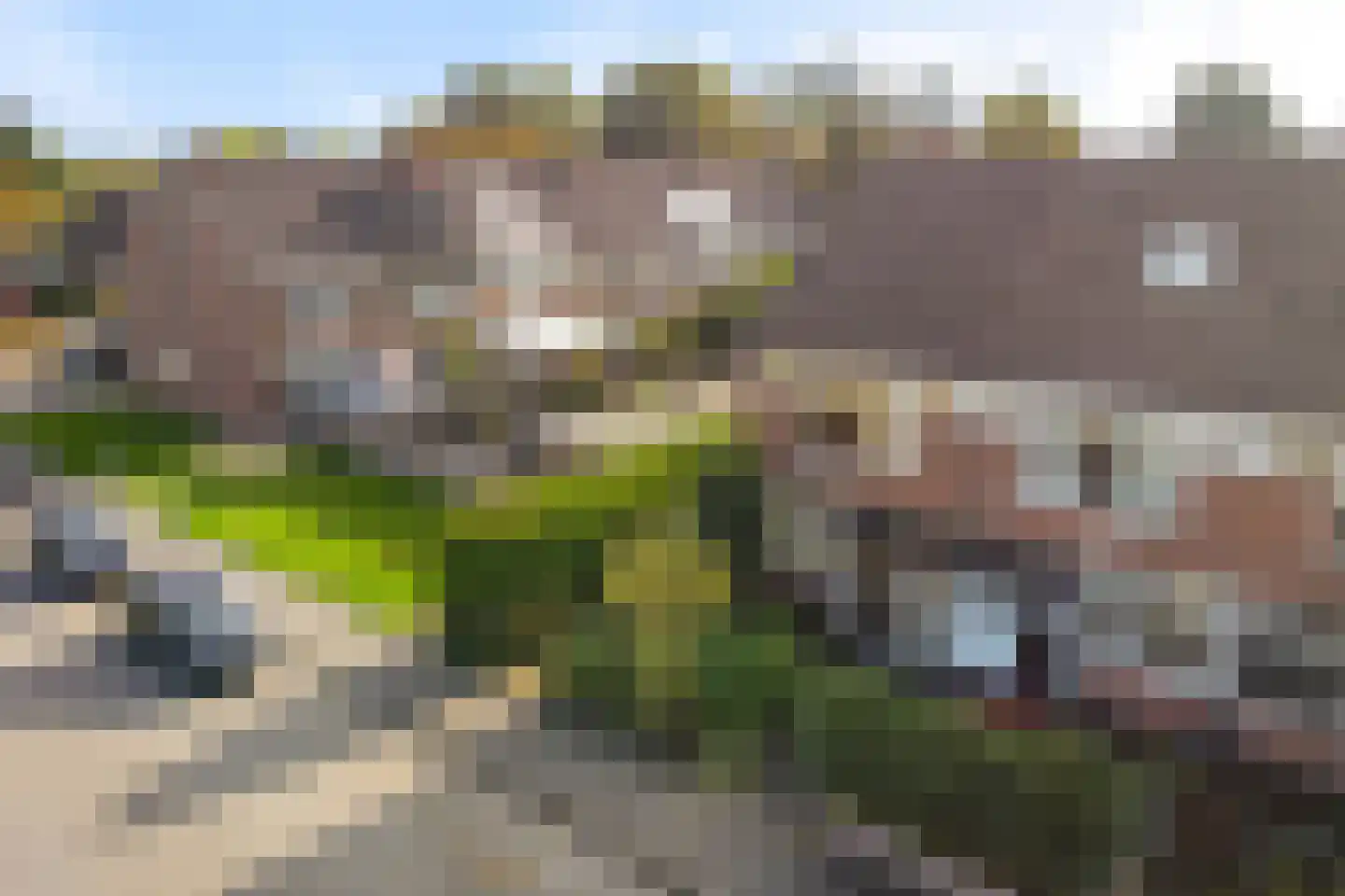 Valeriaan 56 Heerenveen thumbnail 48