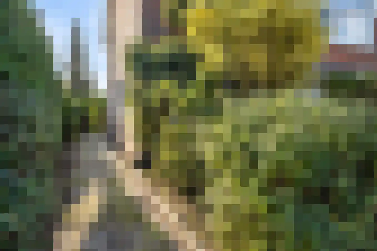 Valeriaan 56 Heerenveen thumbnail 8