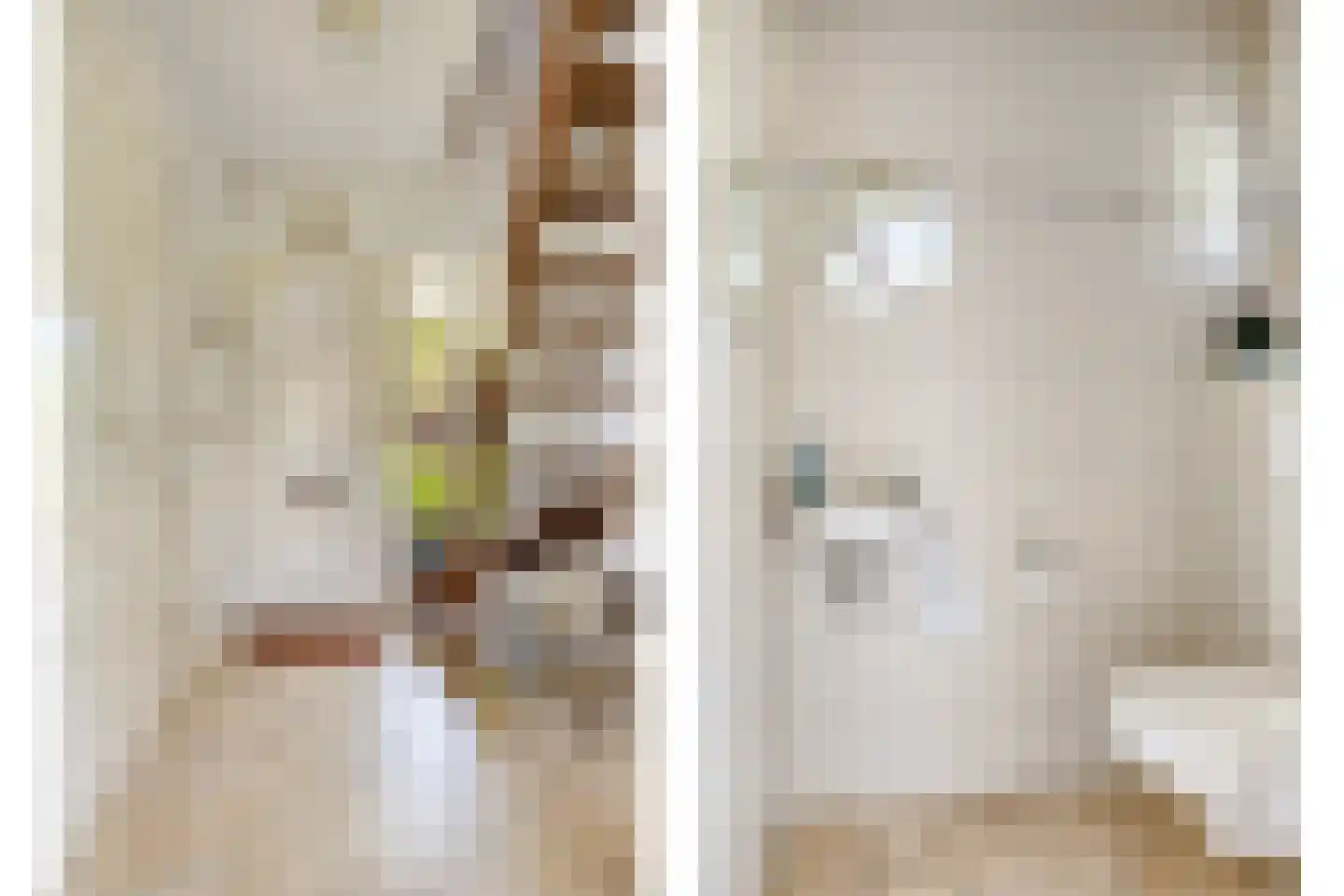Valeriaan 6 Haaksbergen thumbnail 10