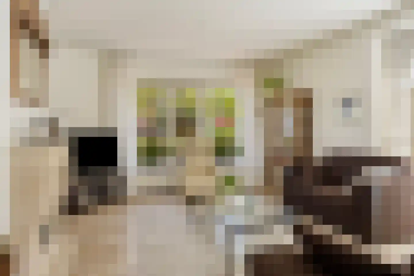 Valeriaan 6 Haaksbergen thumbnail 11
