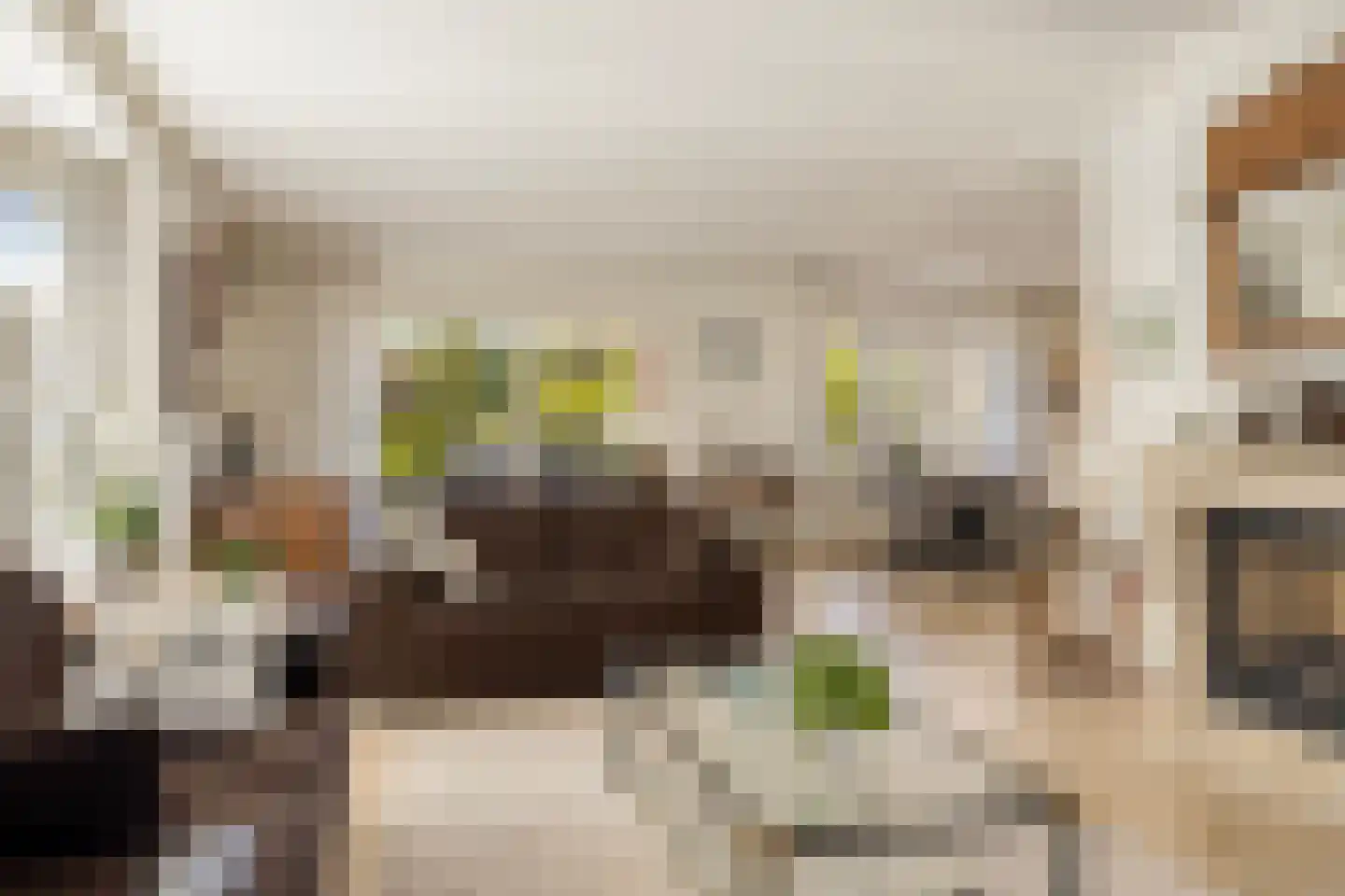 Valeriaan 6 Haaksbergen thumbnail 12