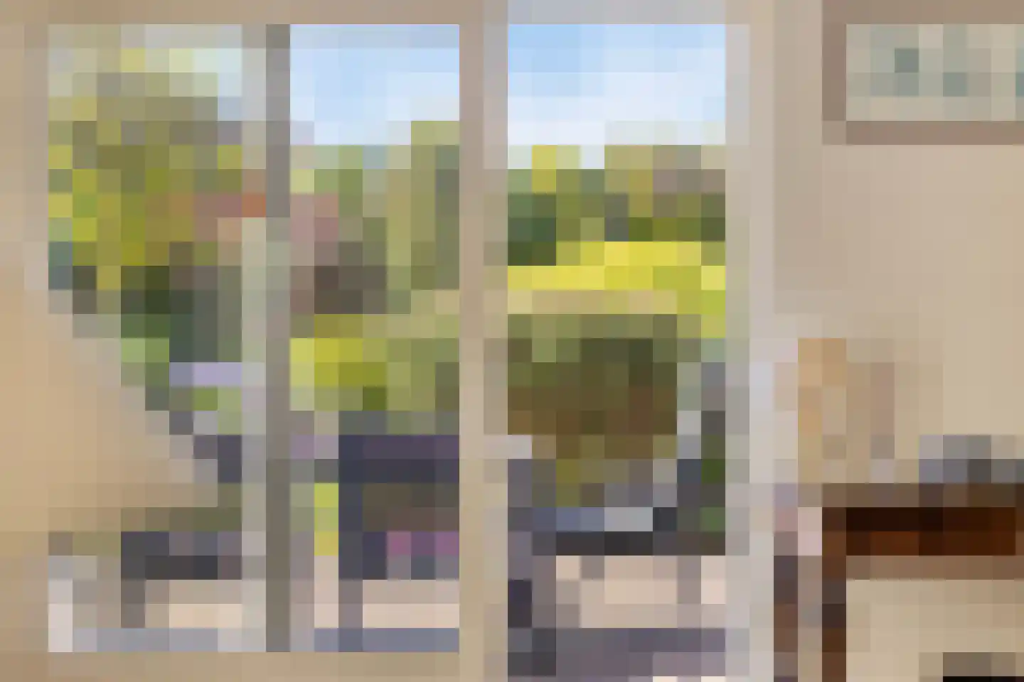 Valeriaan 6 Haaksbergen thumbnail 17