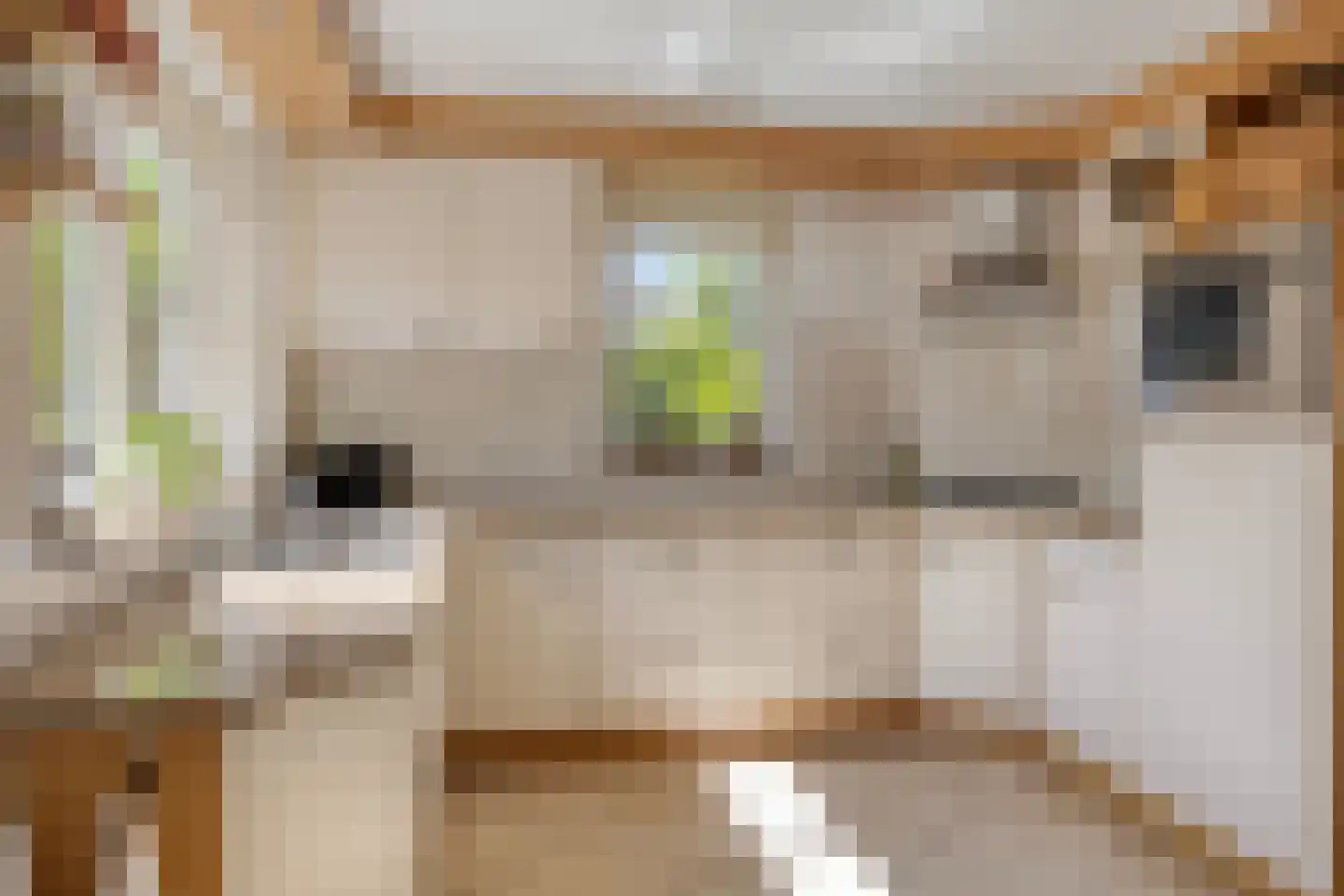 Valeriaan 6 Haaksbergen thumbnail 18