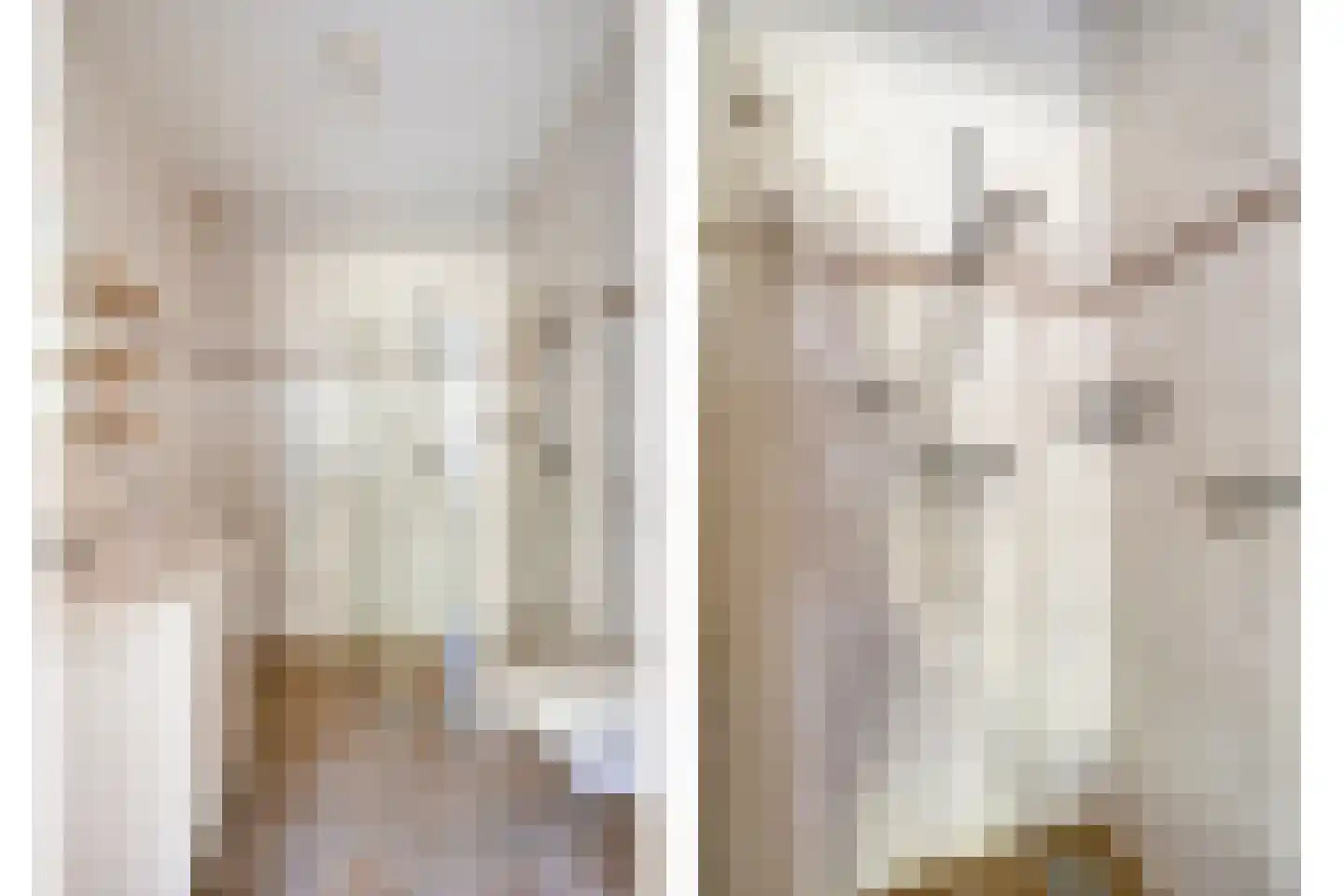 Valeriaan 6 Haaksbergen thumbnail 22