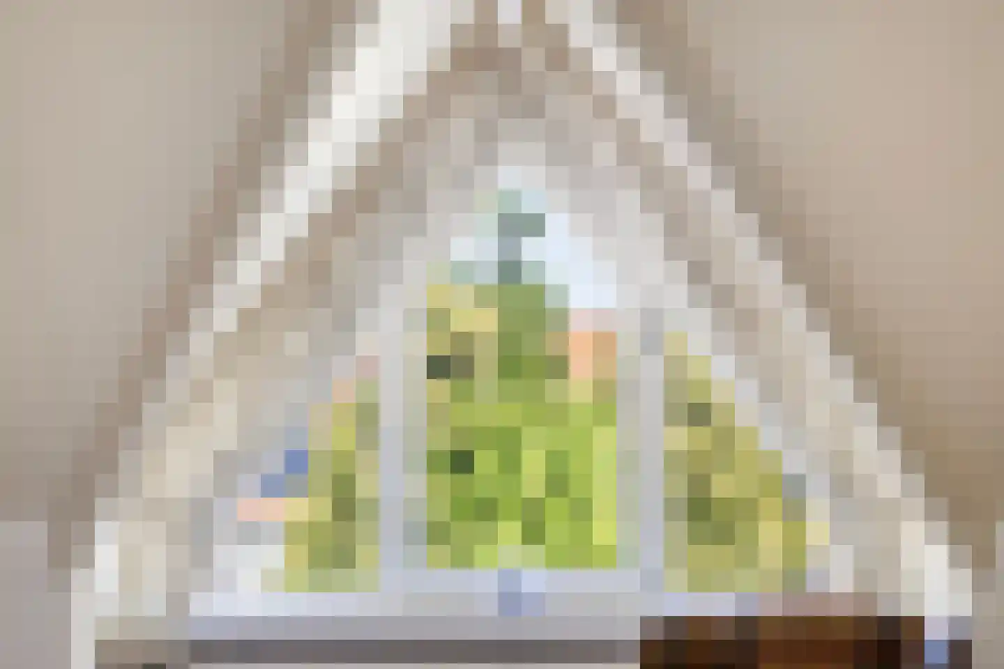 Valeriaan 6 Haaksbergen thumbnail 26