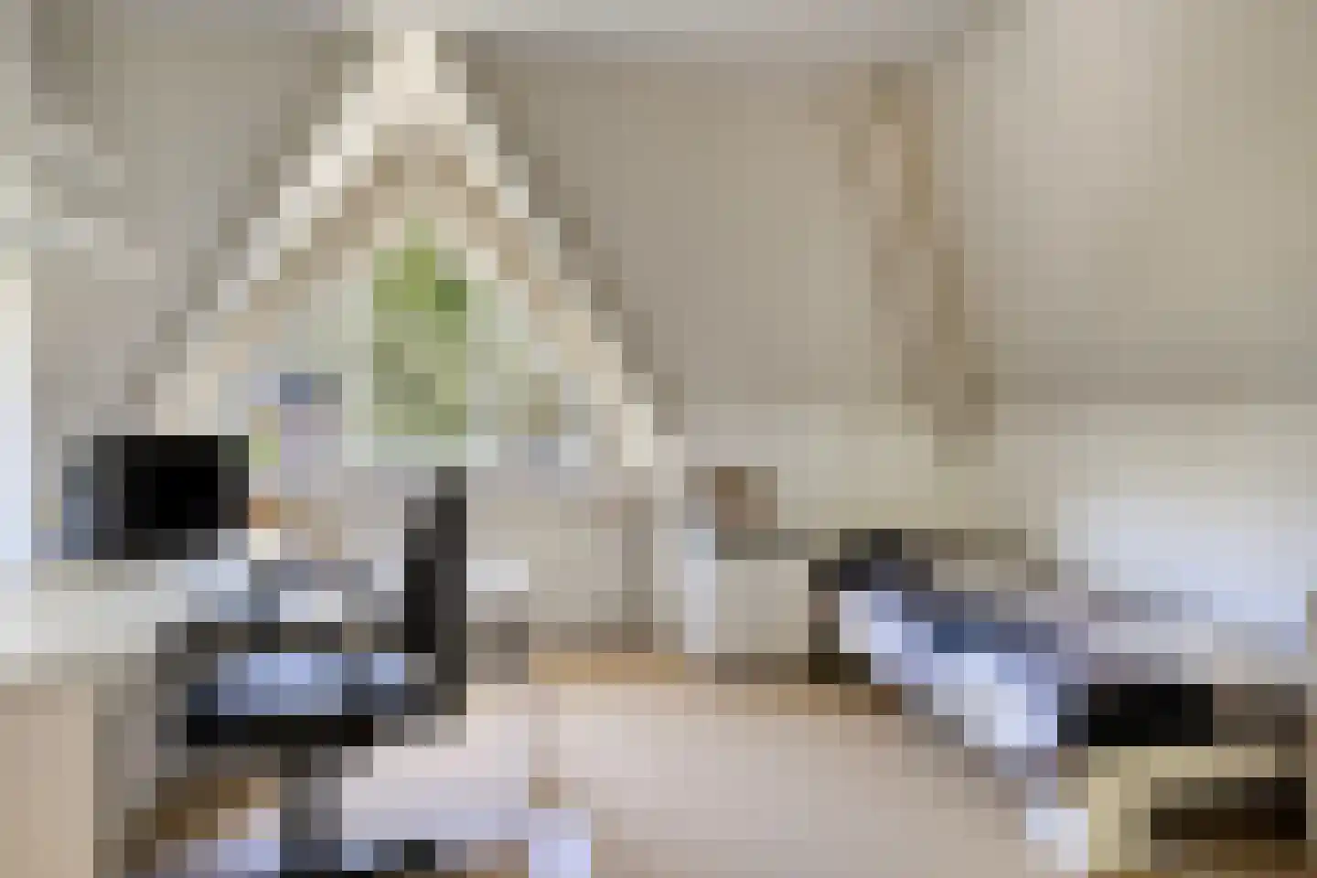Valeriaan 6 Haaksbergen thumbnail 28