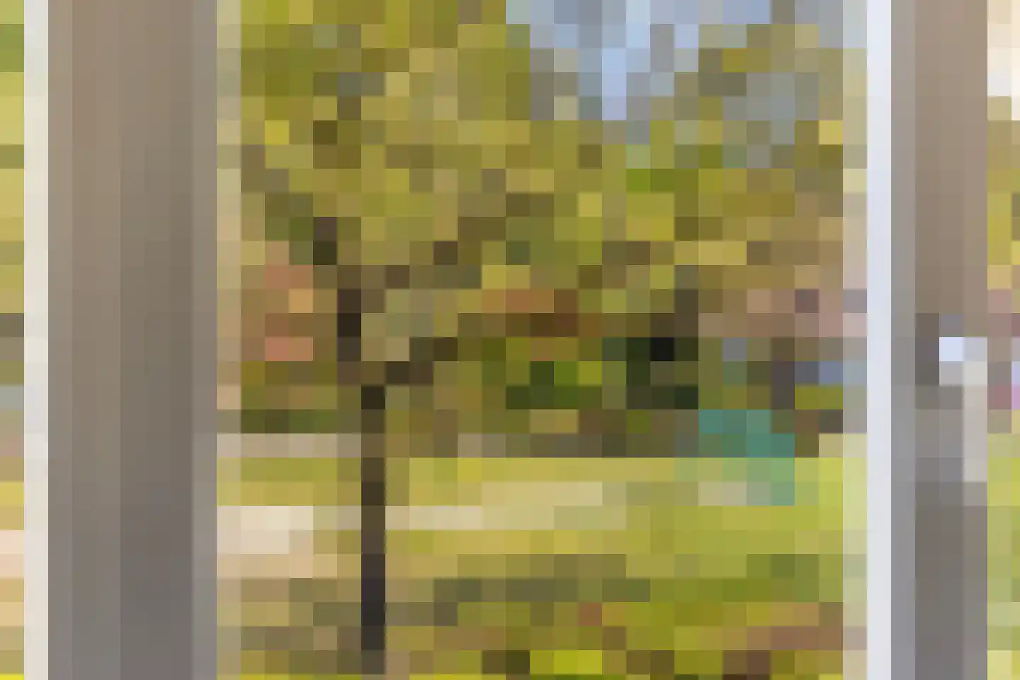 Valeriaan 6 Haaksbergen thumbnail 29