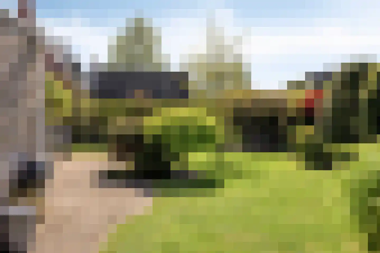 Valeriaan 6 Haaksbergen thumbnail 31