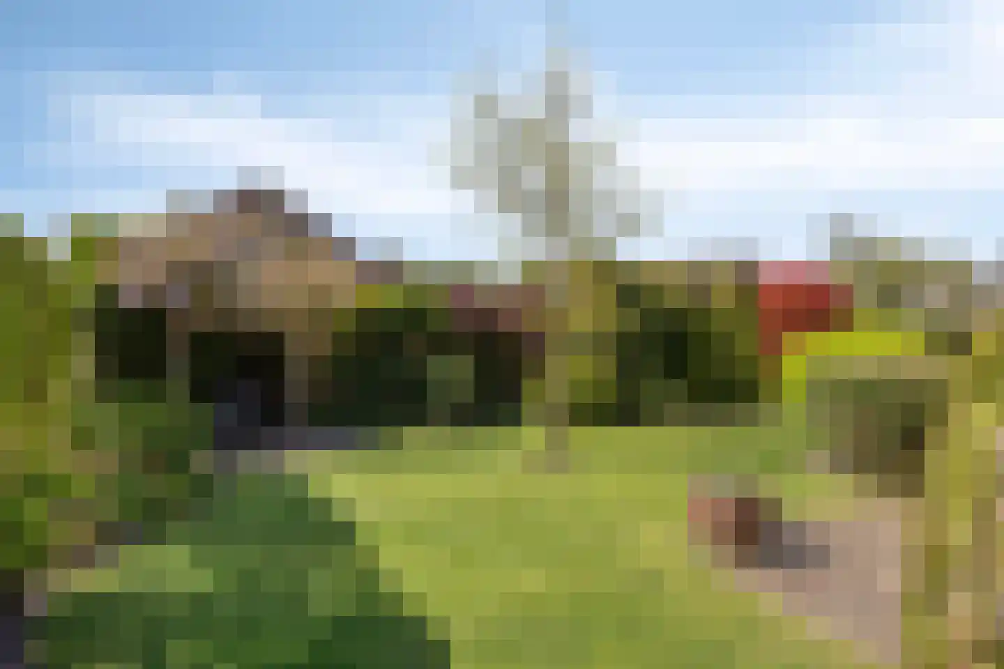 Valeriaan 6 Haaksbergen thumbnail 32