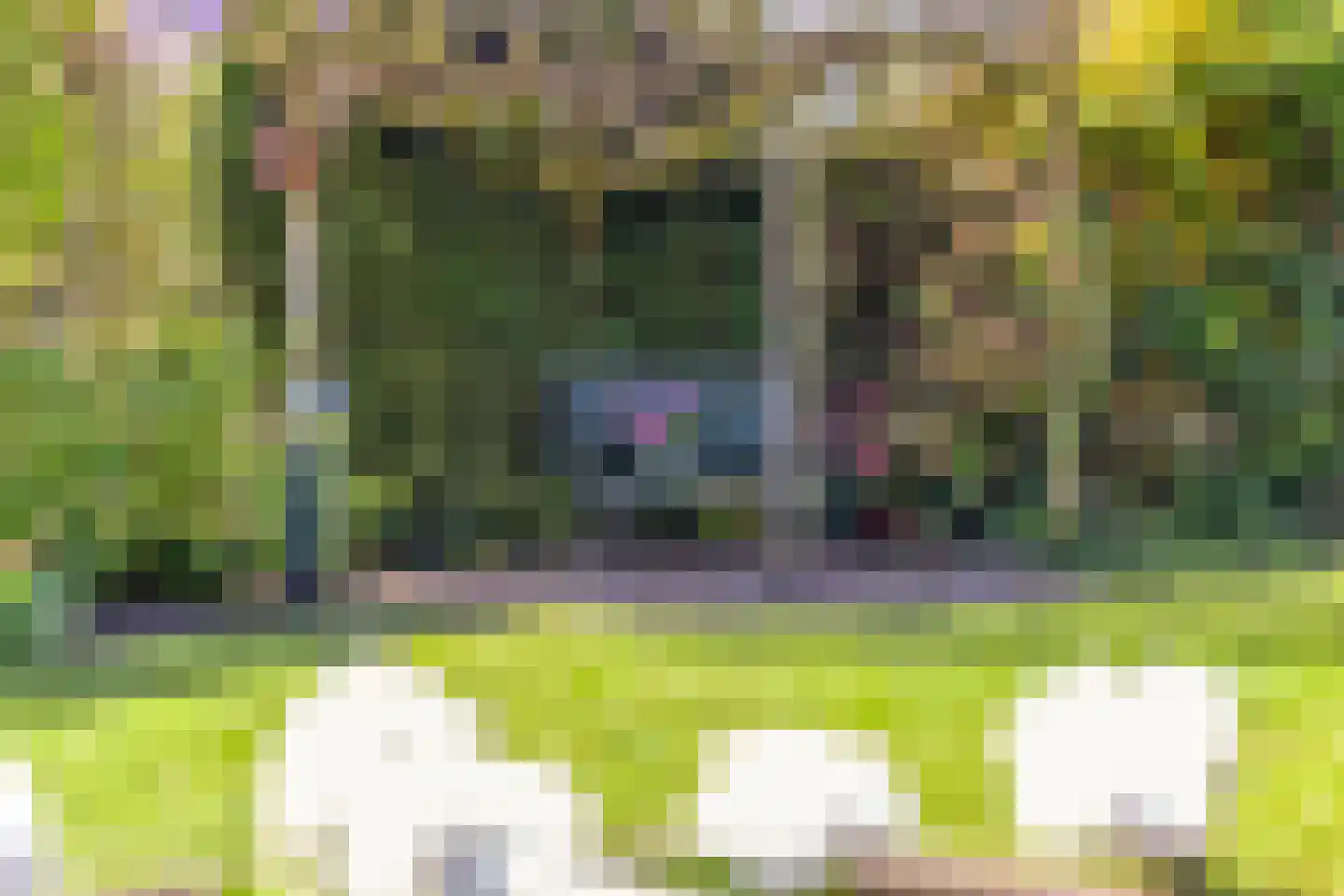 Valeriaan 6 Haaksbergen thumbnail 33