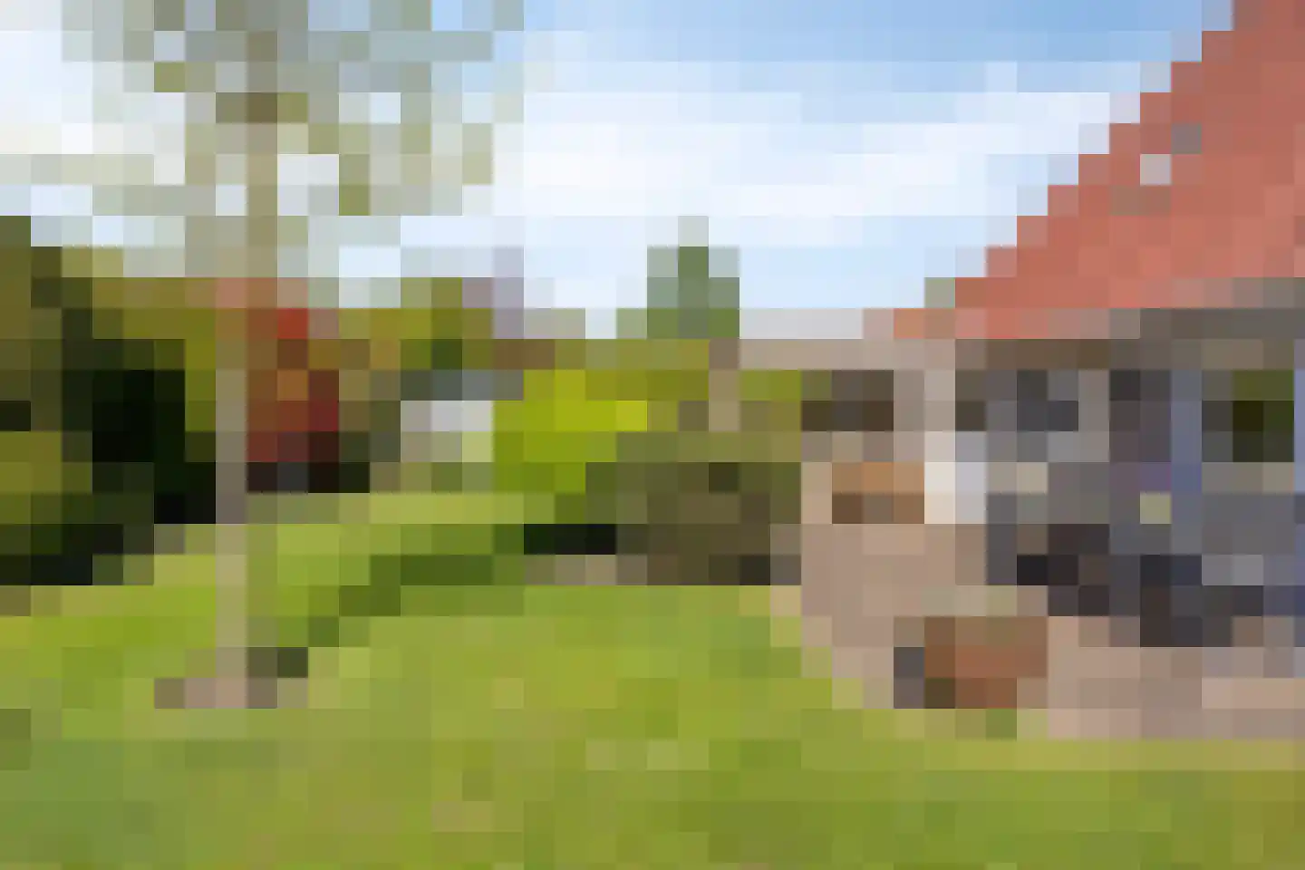 Valeriaan 6 Haaksbergen thumbnail 35