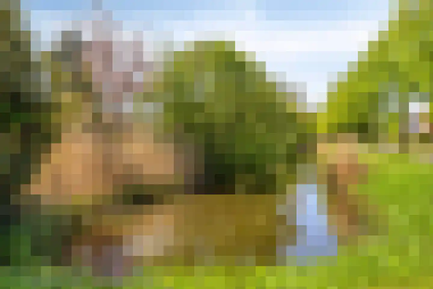 Valeriaan 6 Haaksbergen thumbnail 38