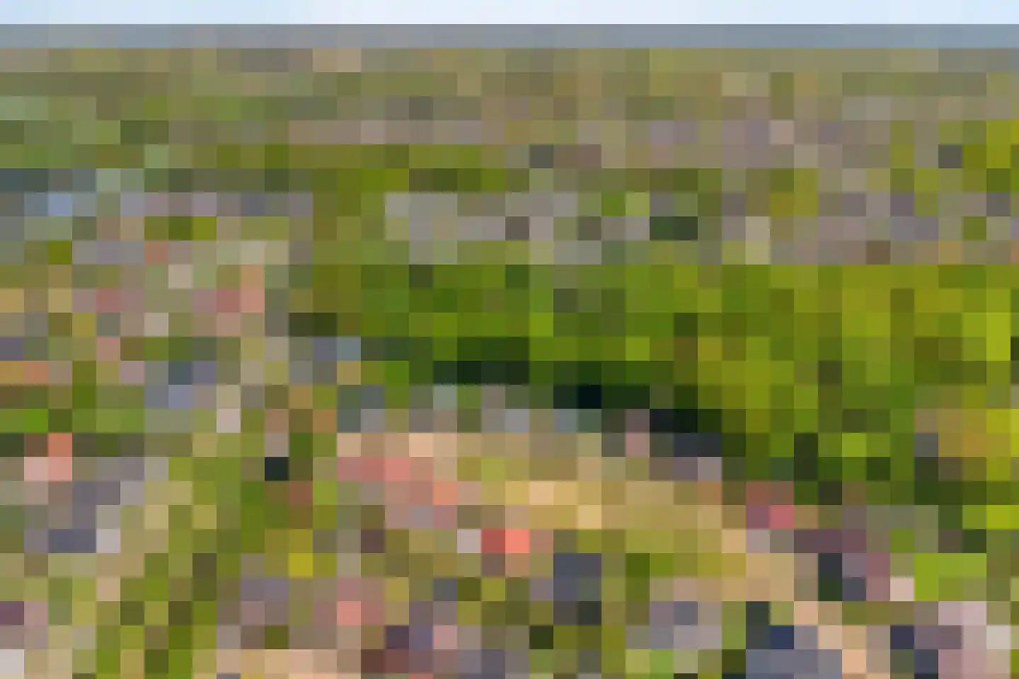 Valeriaan 6 Haaksbergen thumbnail 40