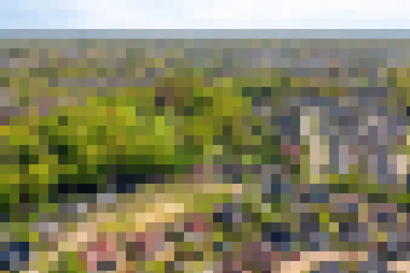 Valeriaan 6 Haaksbergen thumbnail 41