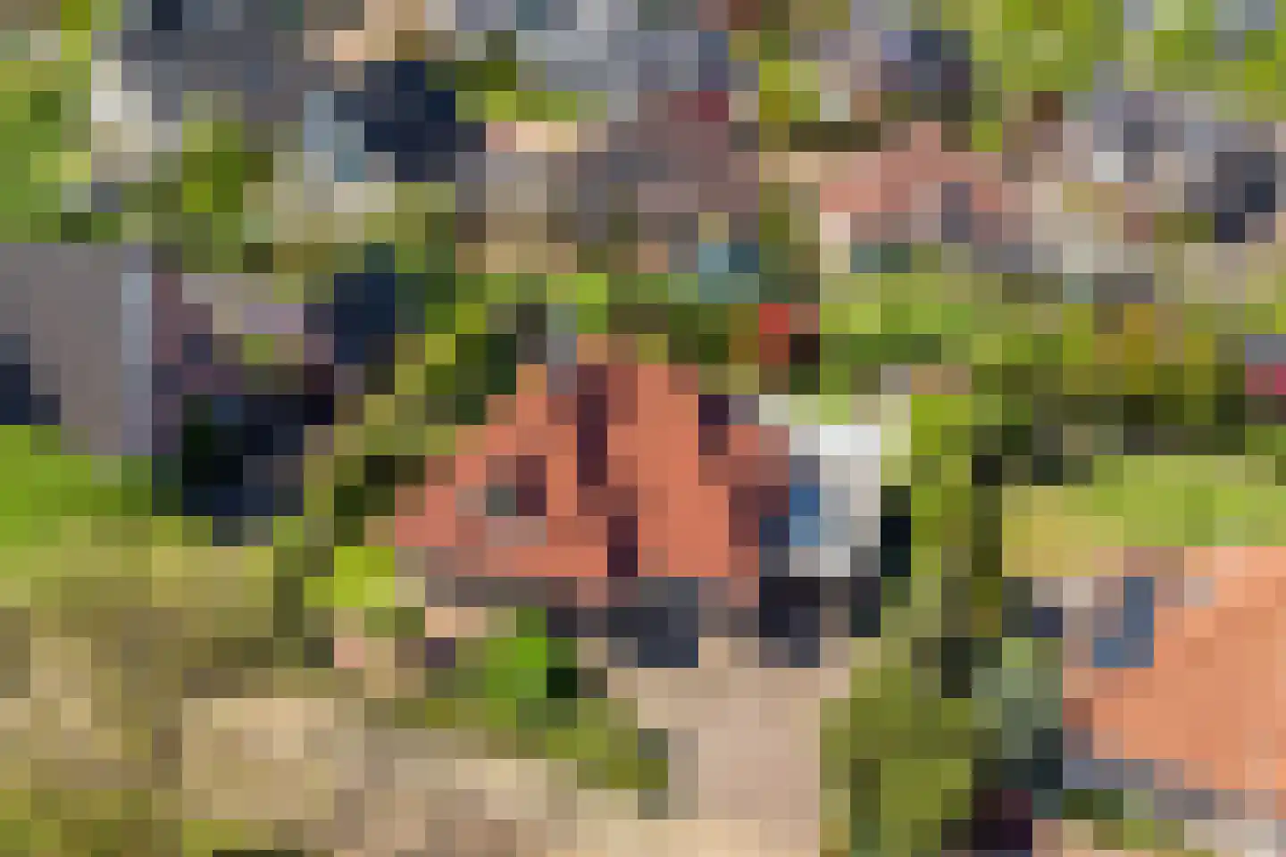 Valeriaan 6 Haaksbergen thumbnail 5
