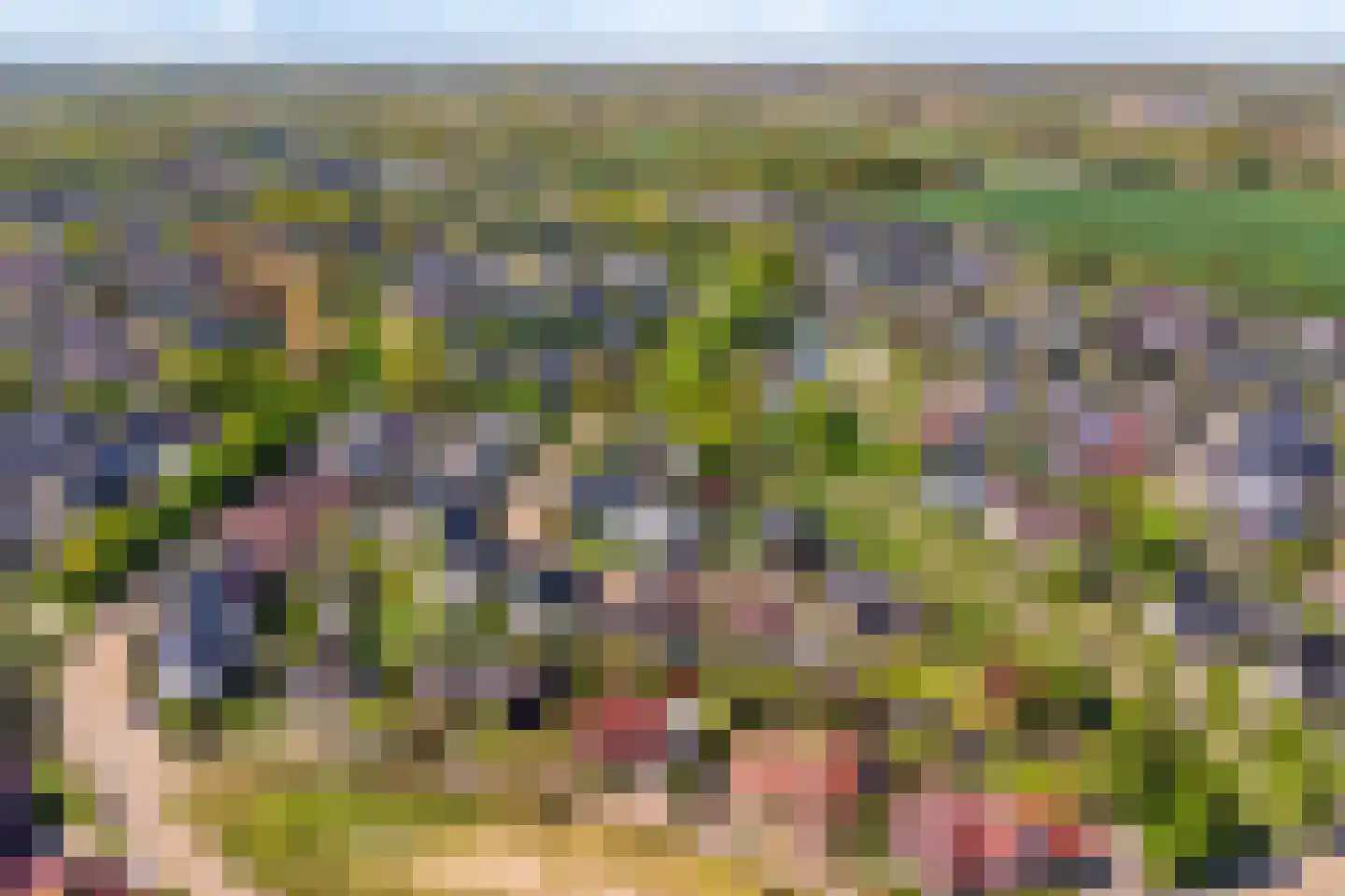 Valeriaan 6 Haaksbergen thumbnail 6
