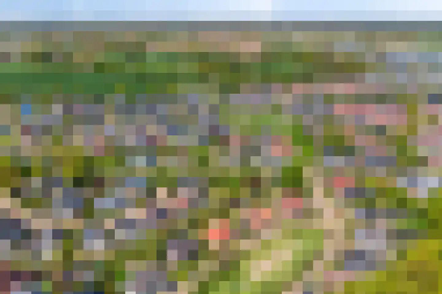 Valeriaan 6 Haaksbergen thumbnail 7