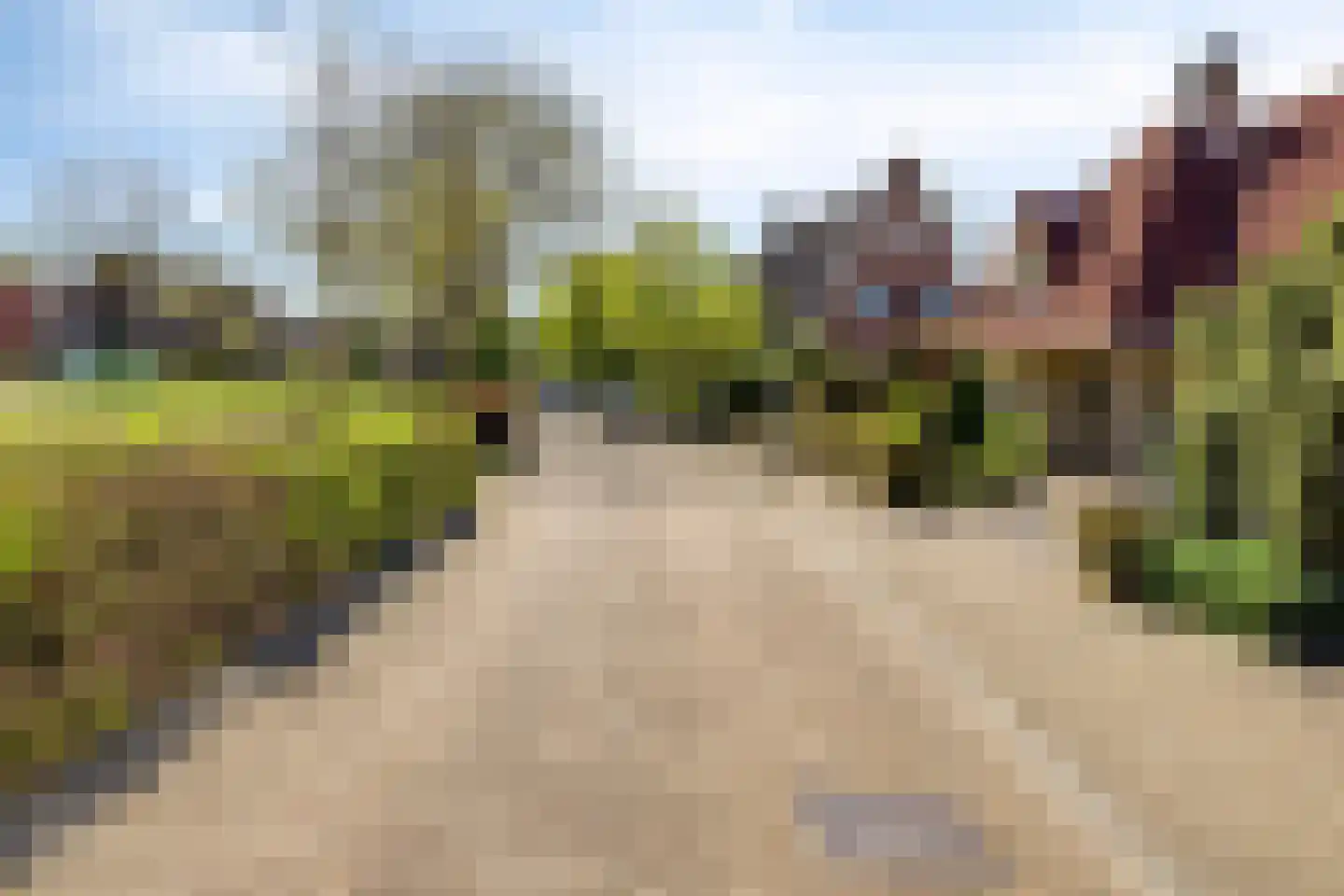 Valeriaan 6 Haaksbergen thumbnail 8