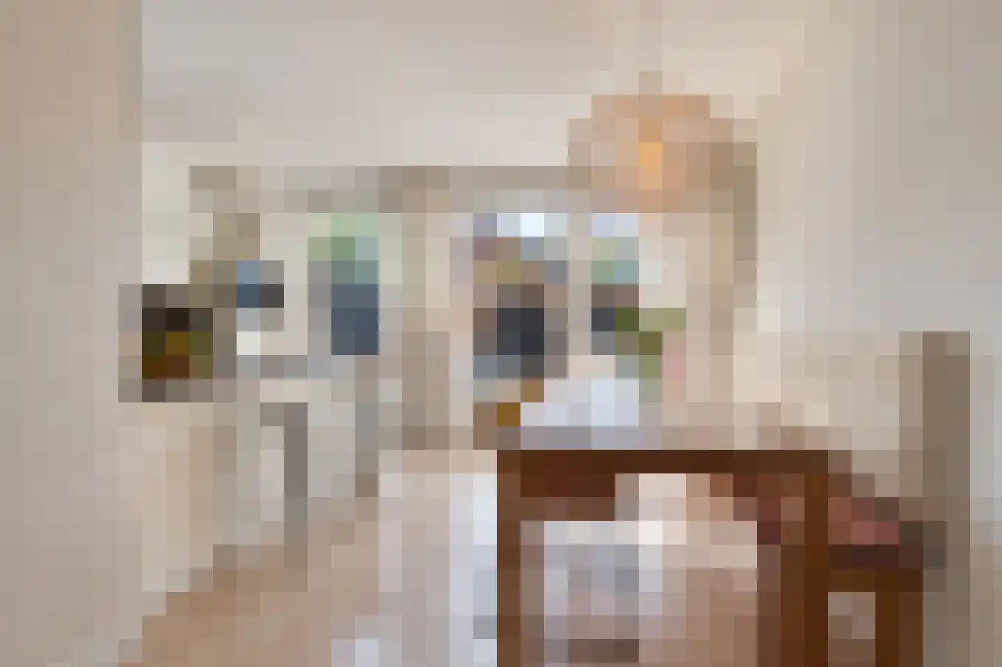 Valeriaan 67 Culemborg thumbnail 12