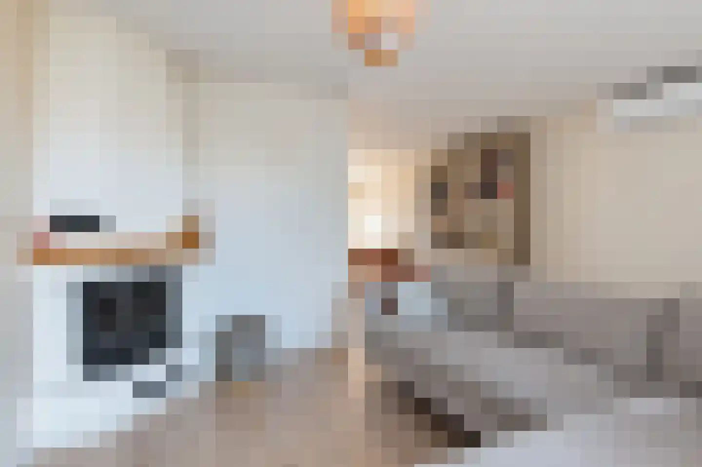 Valeriaan 67 Culemborg thumbnail 8